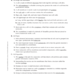 22 Outline Worksheet Answers Pertaining To Inside The Cell Worksheet Answers