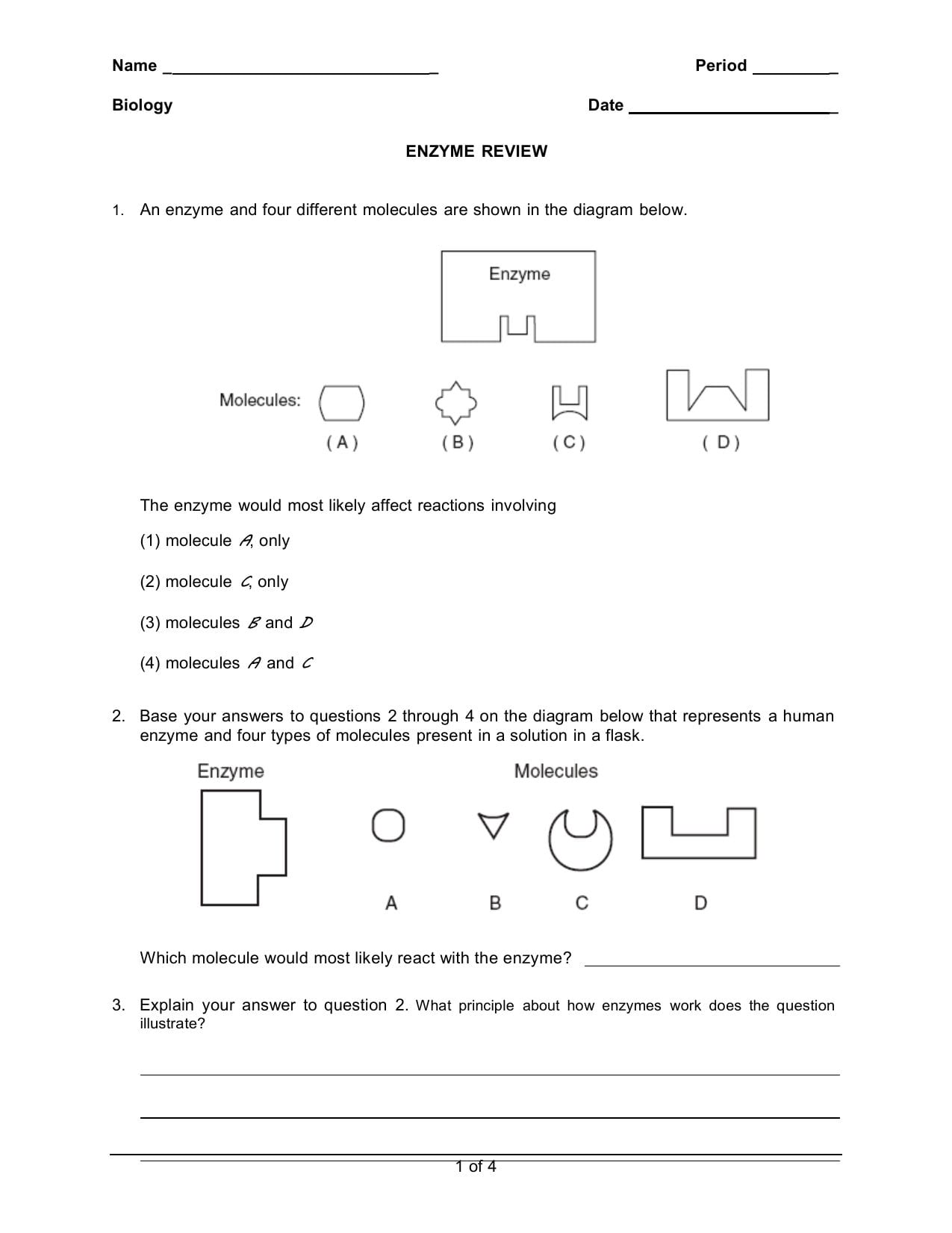 2E Enzyme Review Worksheet 1 Also Enzymes Review Worksheet