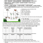 3D Energy Pyramid Directions And Templates Throughout Energy Pyramid Worksheet