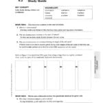 52 Study Guide Key Regarding Cell Cycle Worksheet Answer Key