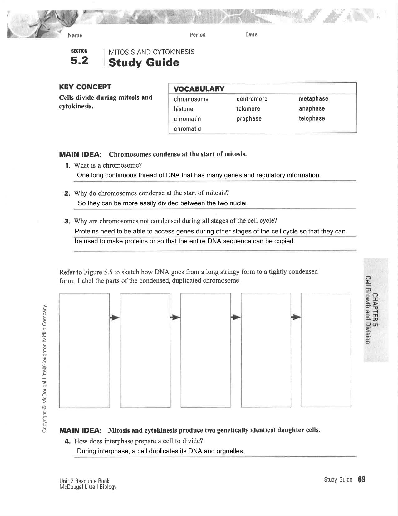 52 Study Guide Key Regarding Cell Cycle Worksheet Answer Key