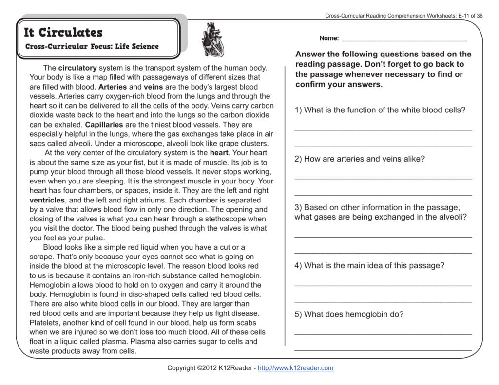 5Th Grade Reading Comprehension Worksheets As Well As Finding The Main Idea Worksheets With Answers