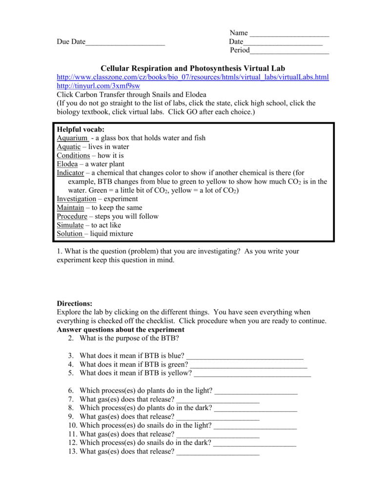 6 Cellular Respiration And Photosynthesis Virtual Lab Within Photosynthesis Virtual Lab Worksheet Answer Key