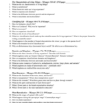 7Th Grade Life Science Living Organisms Unit Test With Regard To Characteristics Of Living Things Worksheet