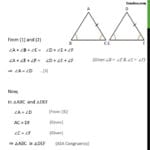 Aas Congruency  Class 9  If Two Angles And Adjacent Side Are Equal In Asa And Aas Congruence Worksheet Answers