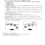 Active And Passive Transport Worksheet  Soccerphysicsonline Also Active Transport Worksheet