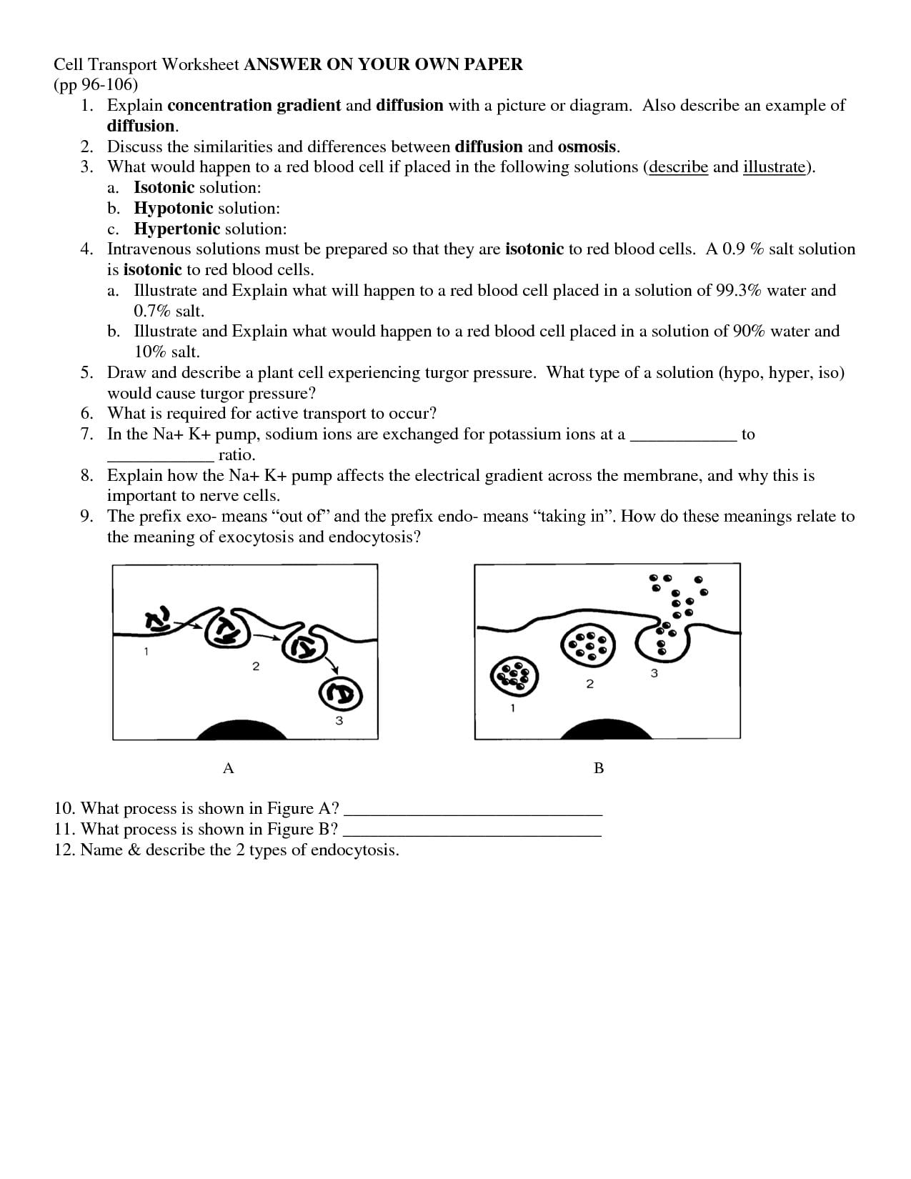 Active And Passive Transport Worksheet  Soccerphysicsonline Regarding Active Transport Worksheet Answers