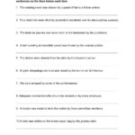 Active And Passive Voice Worksheets Popular Slope Intercept Form Throughout Passive Voice Worksheets