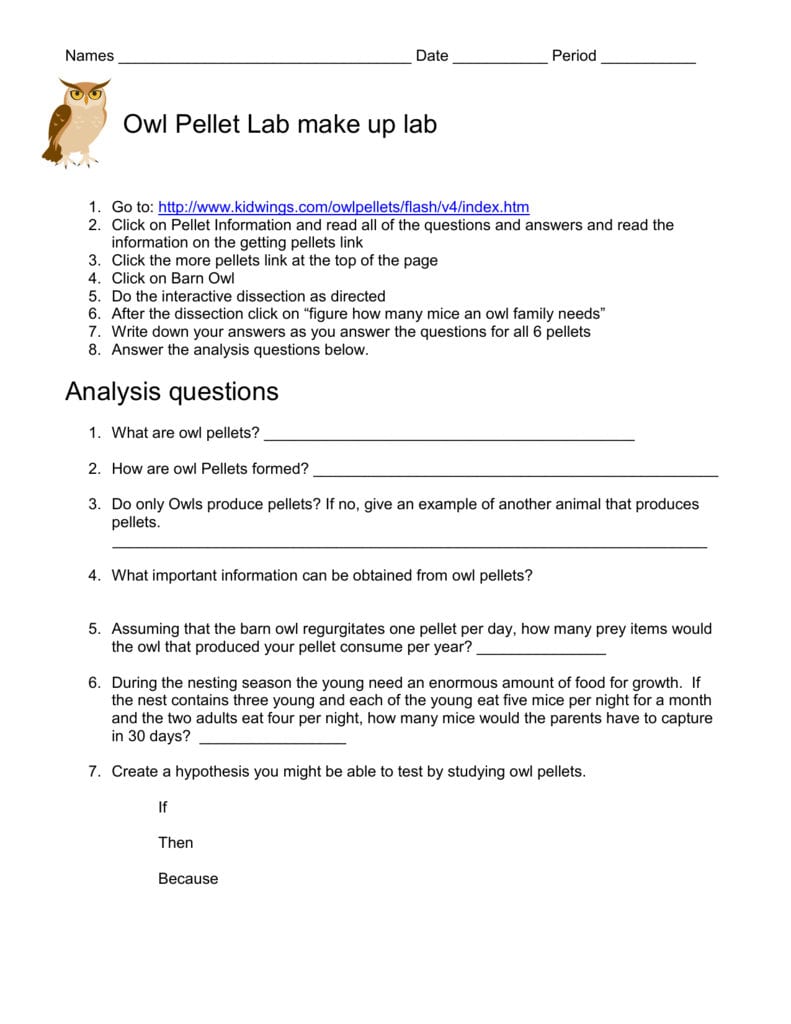 Alternative Owl Pellet Lab Throughout Owl Pellet Dissection Worksheet