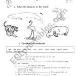 Amazing Animal Facts  Esl Worksheetsadgrace In Facts About Birds Worksheet