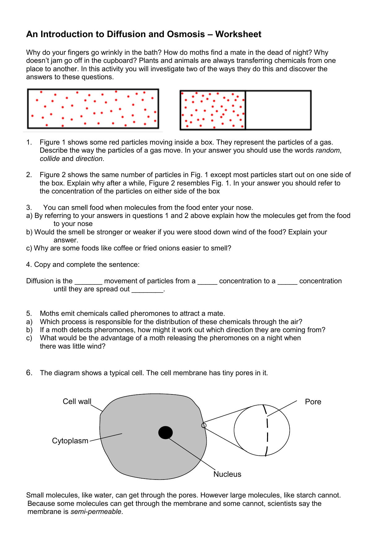 An Introduction To Diffusion And Osmosis Throughout Diffusion And Osmosis Worksheet Answer Key