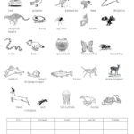 Animal Movements Worksheet  Free Esl Printable Worksheets Made Along With Los Animales Printable Worksheets