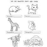 Animals And Adjectives For Children 2 Worksheet  Free Esl Printable Or Adjectives Worksheets For Kindergarten