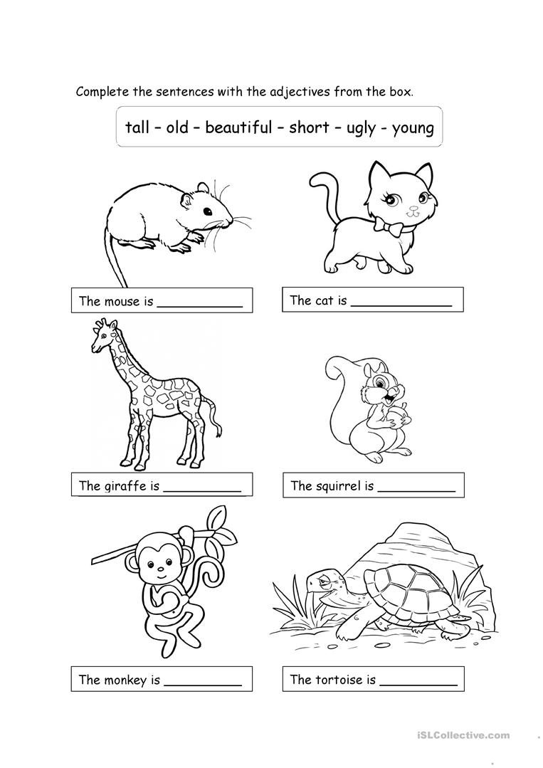 Animals And Adjectives For Children 2 Worksheet  Free Esl Printable Or Adjectives Worksheets For Kindergarten