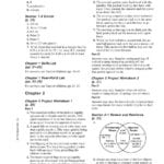 Answer Key Chapter 1  Pdf Pertaining To Section 2 Reinforcement Acceleration Worksheet Answers