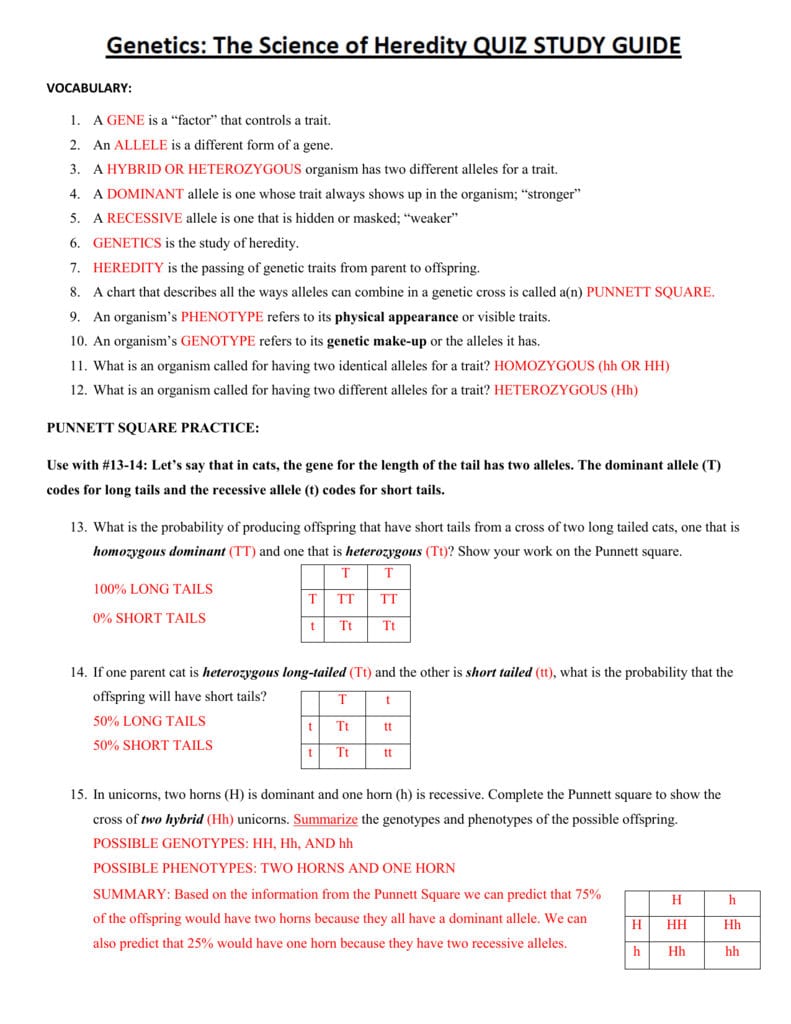 Answer Key Inside Genetics The Science Of Heredity The Test Cross Worksheet Answers