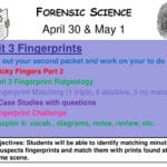 April 30  May 1 Forensic Science Unit 3 Fingerprints  Ppt Download Along With Fingerprint Challenge Worksheet Answers