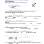 Atmosphere And Heat Transfer Web Quest Regarding Energy Transfer In The Atmosphere Worksheet Answers