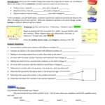 Atoms Phet Lab Intended For Phet Isotopes And Atomic Mass Worksheet Answers