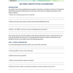 Bacterial Identification Lab Worksheet In Bacterial Identification Lab Worksheet Answers