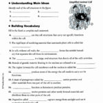 Best Ideas Of Cell Transport Worksheet Answers Inspirational Rice Within Inside The Cell Worksheet Answers