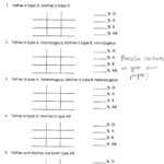 Best Solutions Of Punnett Square Worksheet 1 Answer Key Lovely With Punnett Square Worksheet 1 Key
