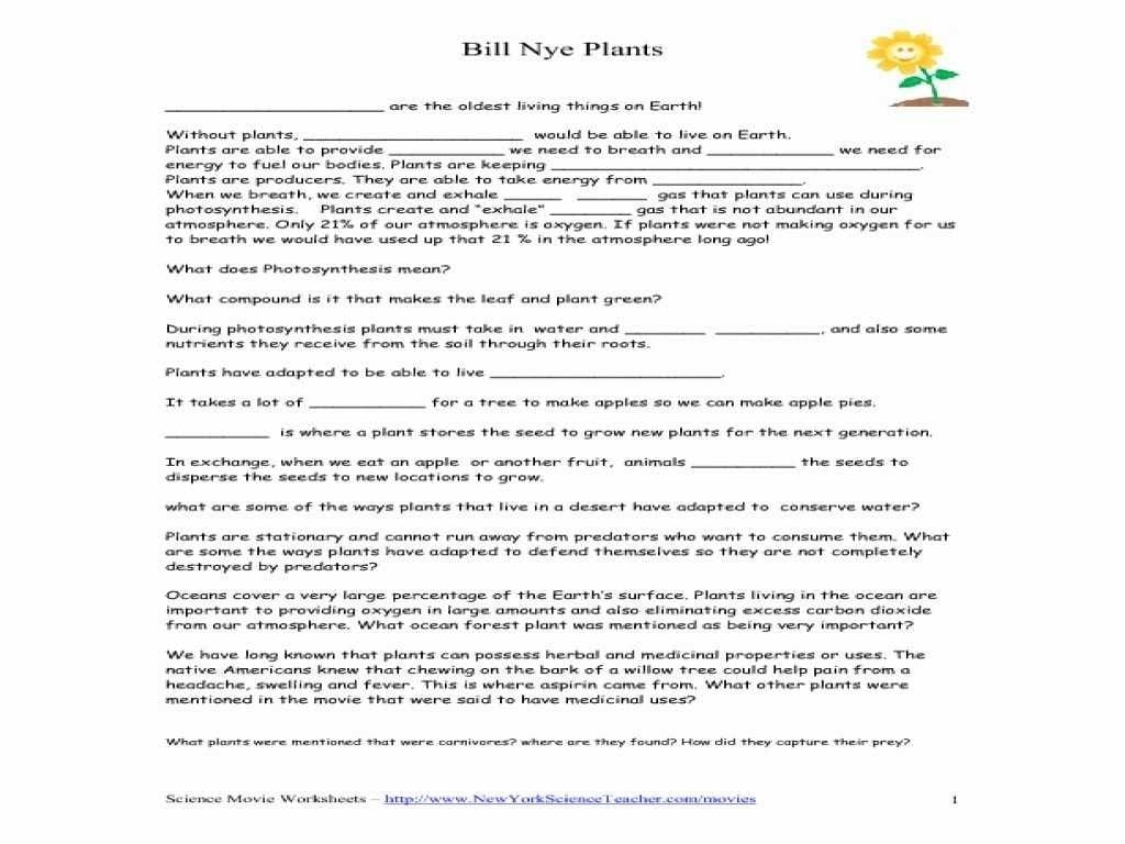 Bill Nye Plants Worksheet Answers  Briefencounters Intended For Bill Nye Plants Worksheet Answer Key