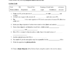 Biogeochemical Cycles Worksheet Answers  Writing Worksheet Throughout Water Carbon And Nitrogen Cycle Worksheet Color Sheet Answers