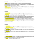 Biology Chapter 4 Key Vocabulary Within Chapter 4 Cells And Energy Vocabulary Practice Worksheet Answer Key