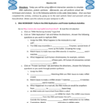 Biology Interactive Dna Computer Labs Throughout Dna Interactive Worksheet Answer Key