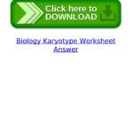 Biology Karyotype Worksheet Answerranpartthrisin  Issuu Regarding Biology Karyotype Worksheet Answers