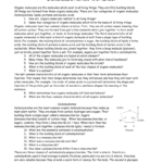 Biomoleculereviewworksheet In Biomolecule Review Worksheet