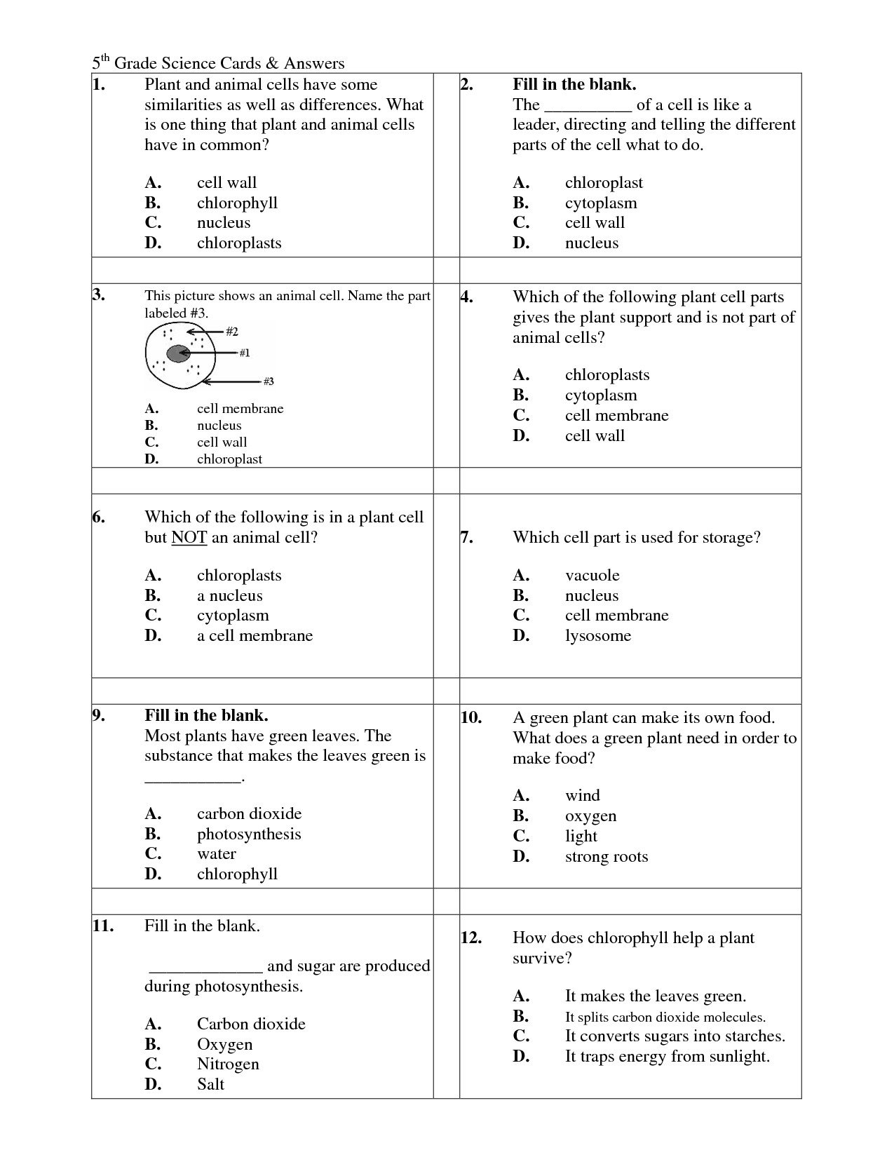 Brilliant Ideas Of Science Worksheets For 5Th Grade With Answer Key Or 5Th Grade Science Worksheets With Answer Key