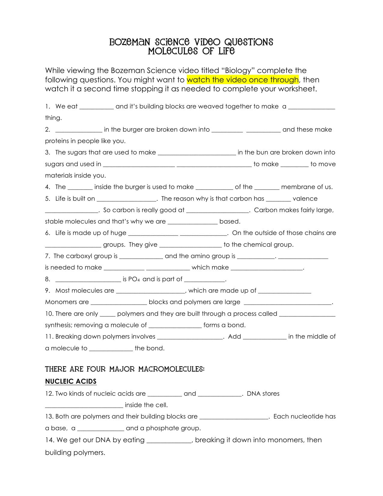 Bsvqmolecules Of Life Within Molecules Of Life Worksheet
