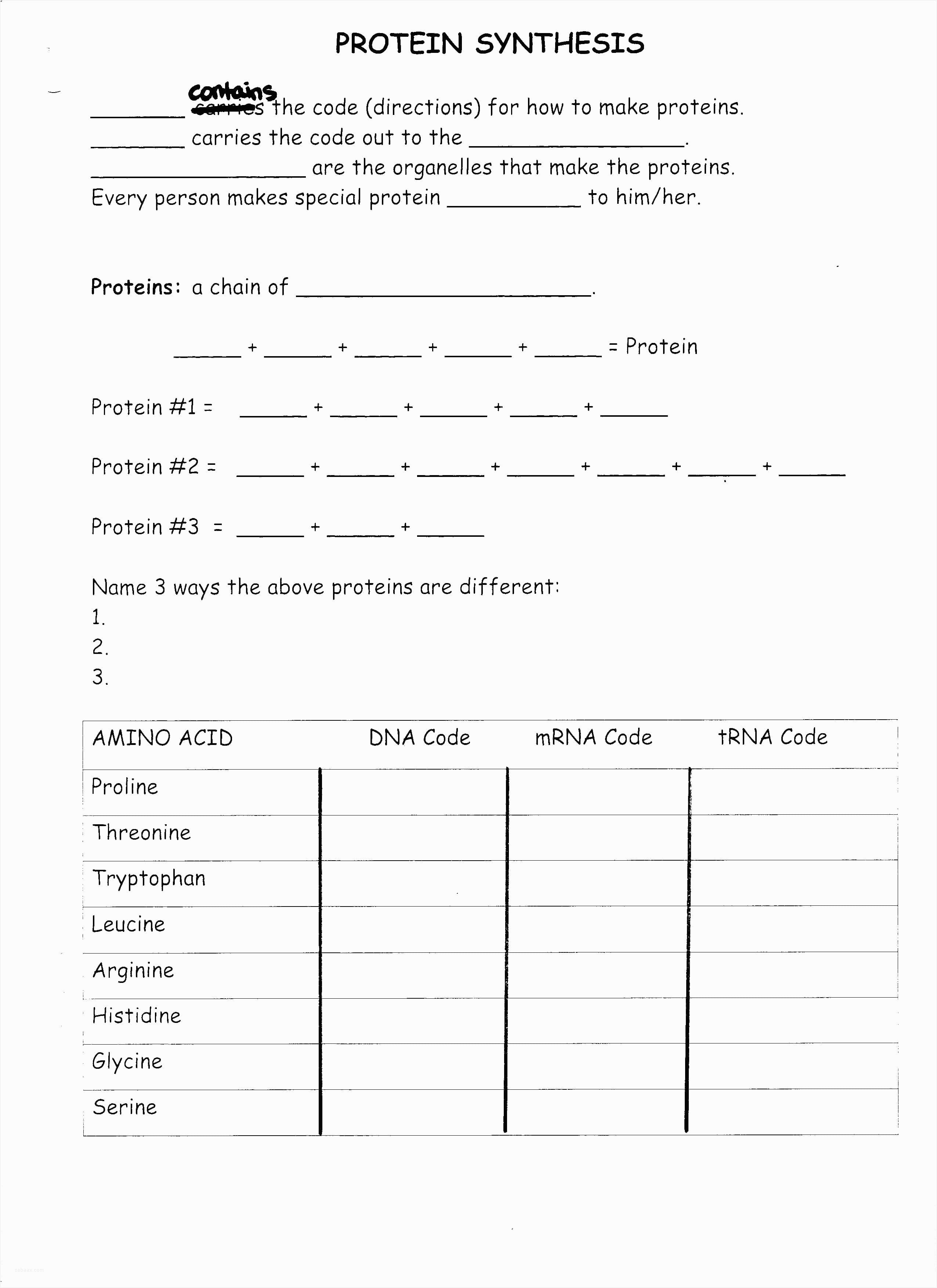 Bunch Ideas Of Good Worksheet On Dna Rna And Protein Synthesis Along With Worksheet On Dna Rna And Protein Synthesis Answer Key Quizlet