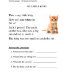 Calaméo  Reading Comprehension Worksheet Grade 1 Kitty Regarding Comprehension Worksheets For Grade 1