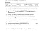 Carbon Cycle With Regard To Role Of Photosynthesis In Carbon Cycling Worksheet