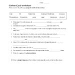 Carbon Cycle Worksheet Throughout Effects Of Co2 On Plants Worksheet Answers