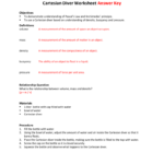 Cartesian Diver Worksheet Answer Key As Well As Gas Laws And Scuba Diving Worksheet Answer Key