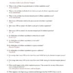 Cell Cycle And Mitosis Coloring Worksheet Answers – Cortexcolorco And Cell Cycle Worksheet Answers