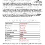 Cell Membrane And Transport Worksheet Answers  Briefencounters Throughout Cell City Analogy Worksheet Pdf