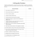 Cell Organelles Worksheet 2 Regarding Cell Organelles And Their Functions Worksheet