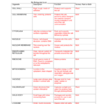 Cell Organelles Worksheet Intended For Cell Organelles And Their Functions Worksheet