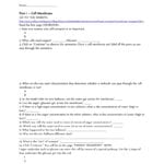Cell Transport Webquest Name Part 1 – Cell Membrane Go To Together With Cell Transport Webquest Worksheet Answers