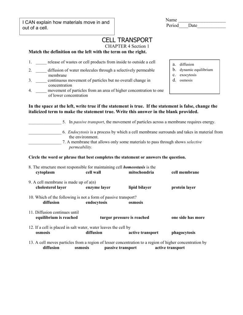 Cell Transport Worksheet  Fairfield Public Schools For Passive Transport Worksheet Answers