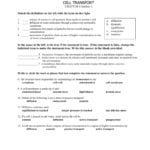 Cell Transport Worksheet For Active And Passive Transport Worksheet