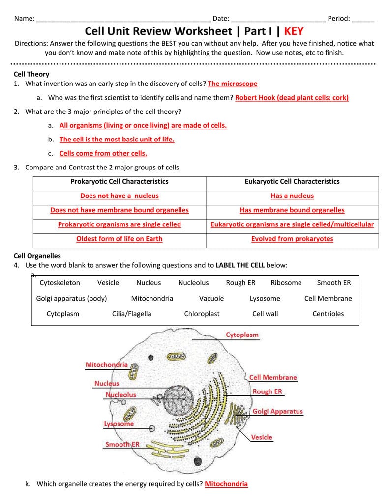 Cell Unit Review Worksheet  Part I  Key Regarding Inside The Eukaryotic Cell Worksheet Answers