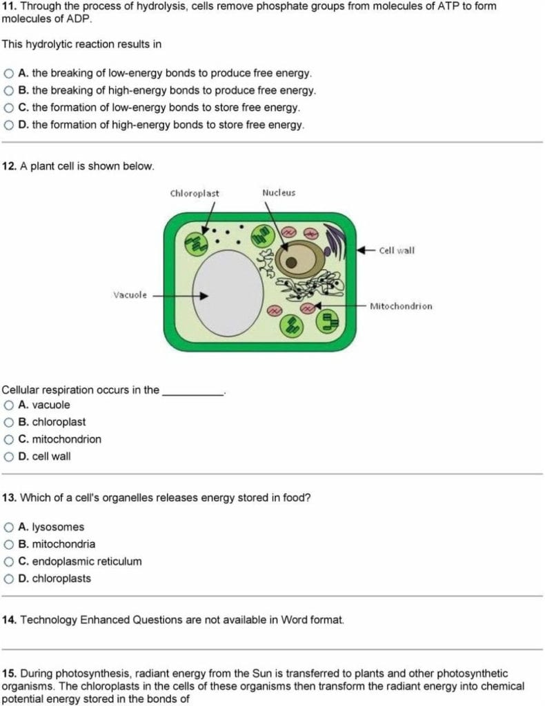 cellular-respiration-breaking-down-energy-worksheet-briefencounters-in