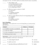 Cellular Structure And Function  Pdf Throughout 7 2 Cell Structure Worksheet Answer Key