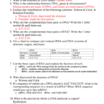 Ch 11 Study Guide Dna Rna And Proteins Intended For Dna And Rna Structure Worksheet Answer Key